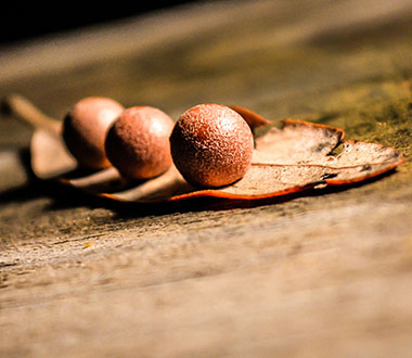 专业破解工具的电话狂轰滥炸软件